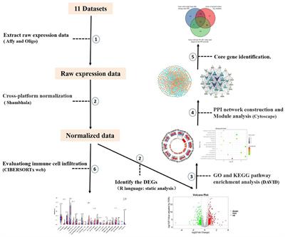 Bioinformatics Analysis Reveals Crosstalk Among Platelets, Immune Cells, and the Glomerulus That May Play an Important Role in the Development of Diabetic Nephropathy